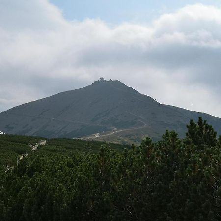 Penzion Lesni Pramen Pec pod Sněžkou Exterior foto