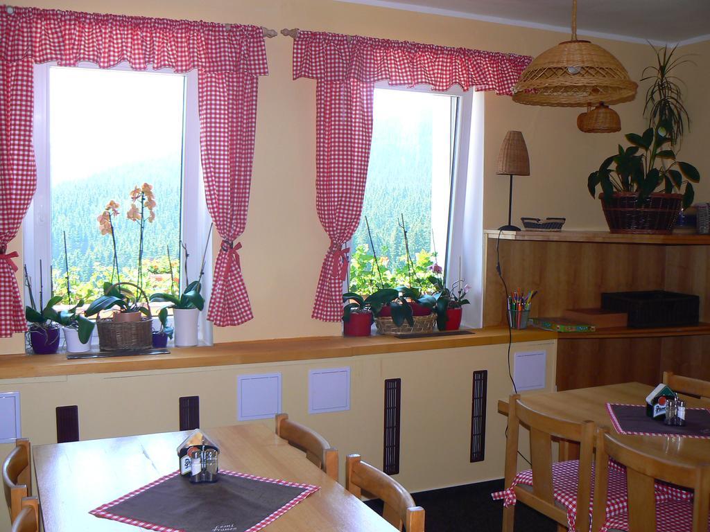 Penzion Lesni Pramen Pec pod Sněžkou Exterior foto