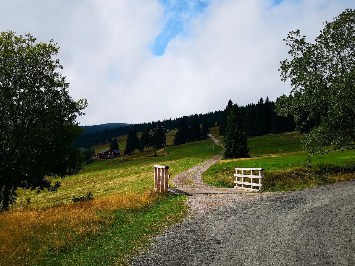 Penzion Lesni Pramen Pec pod Sněžkou Exterior foto